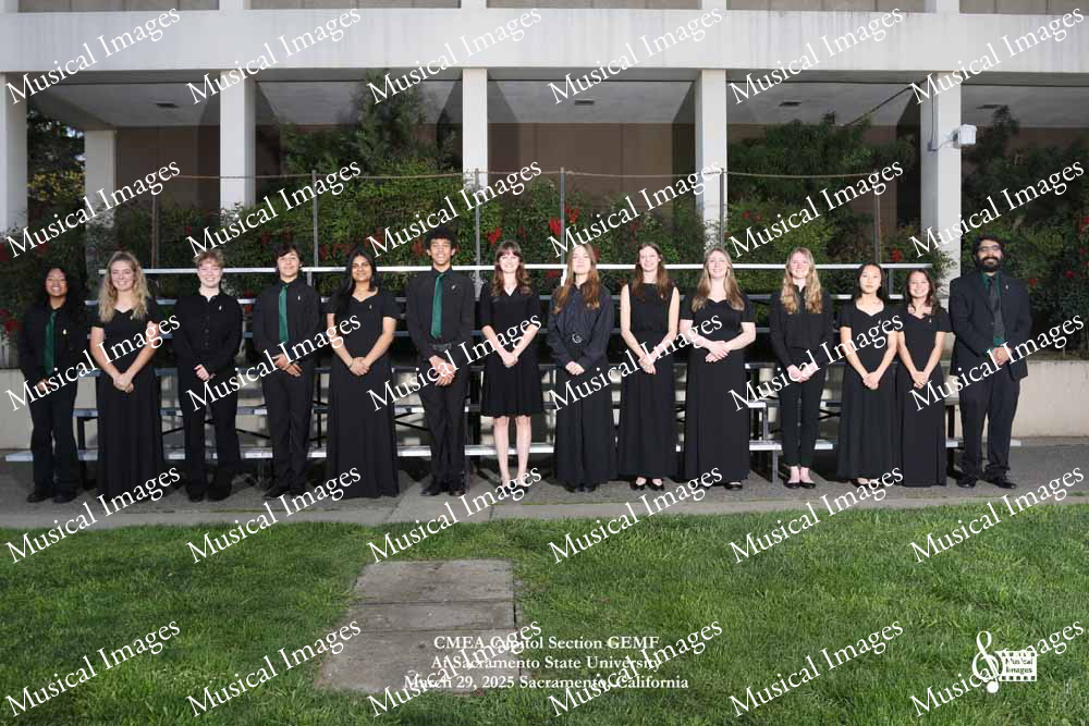 Musical Images